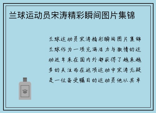 兰球运动员宋涛精彩瞬间图片集锦