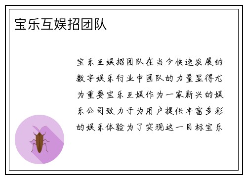 宝乐互娱招团队